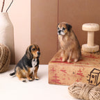 Mini Felt Pet Figurine | Handmade Custom Sculpture(7 -10 cm)