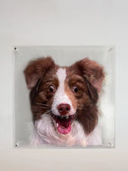 3D Hand-Painted Pet Art