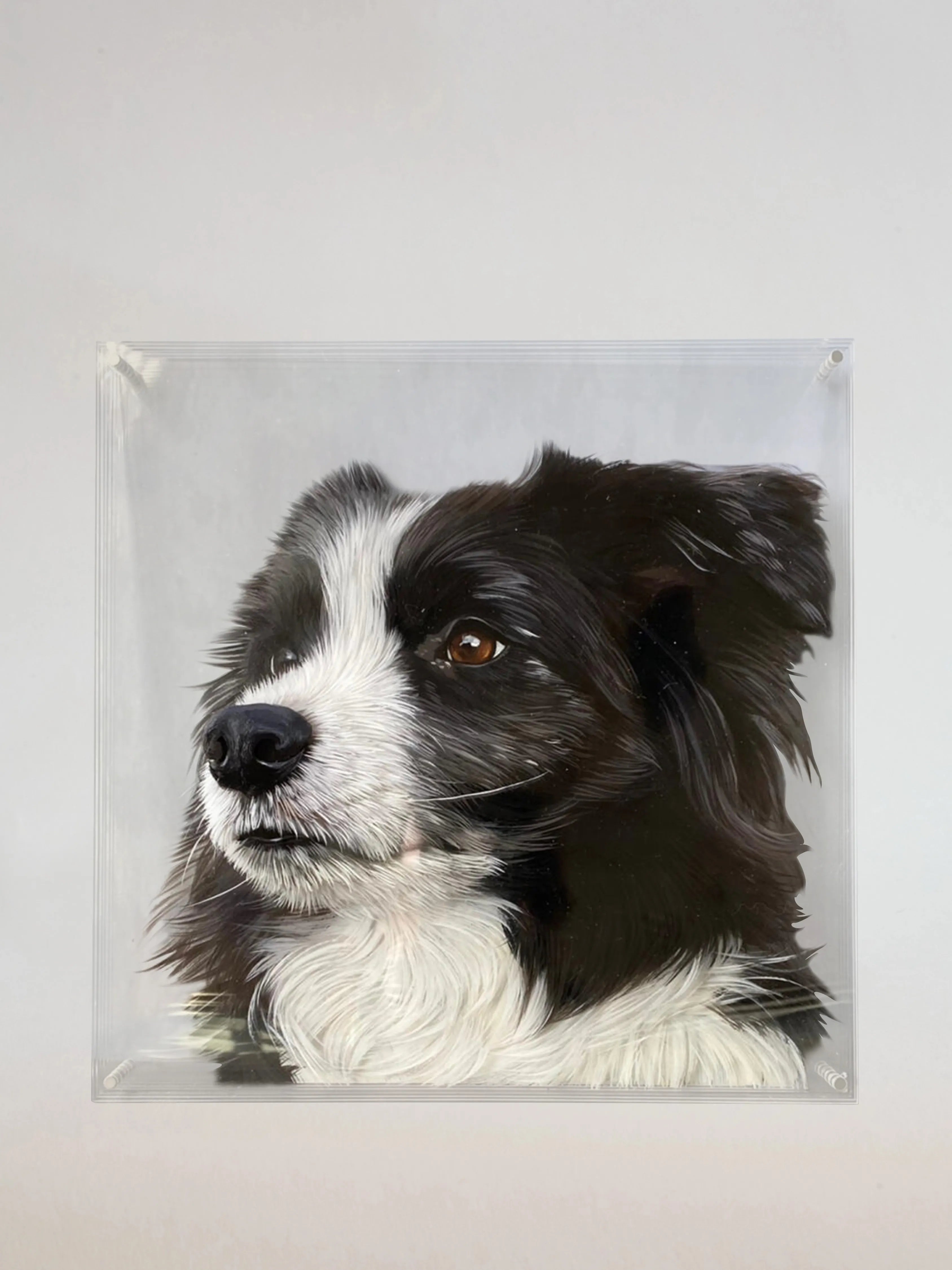 3D Hand-Painted Pet Art