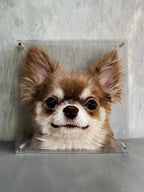 3D Hand-Painted Pet Art