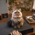 Custom Felt Pet Sculpture | Handmade Full-Body Pet Figurine