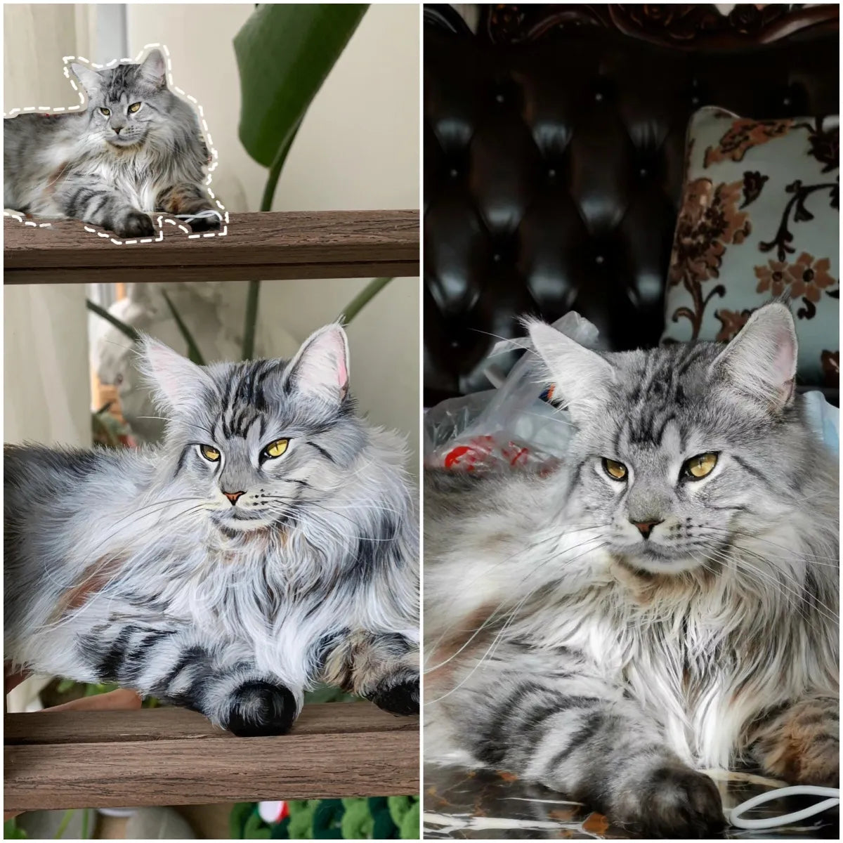 Framed Glass Pet Painting