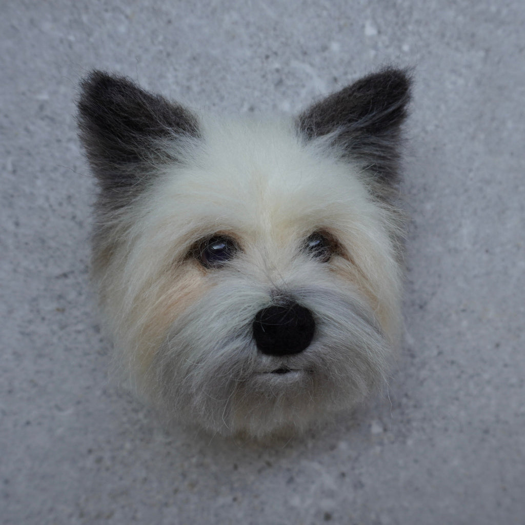 Custom Pet Decorative Keepsake | Handmade Personalized Pet Gift – Curepaw