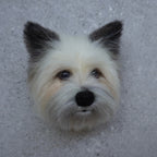 Custom Pet Decorative Keepsake | Handmade Personalized Pet Gift – Curepaw