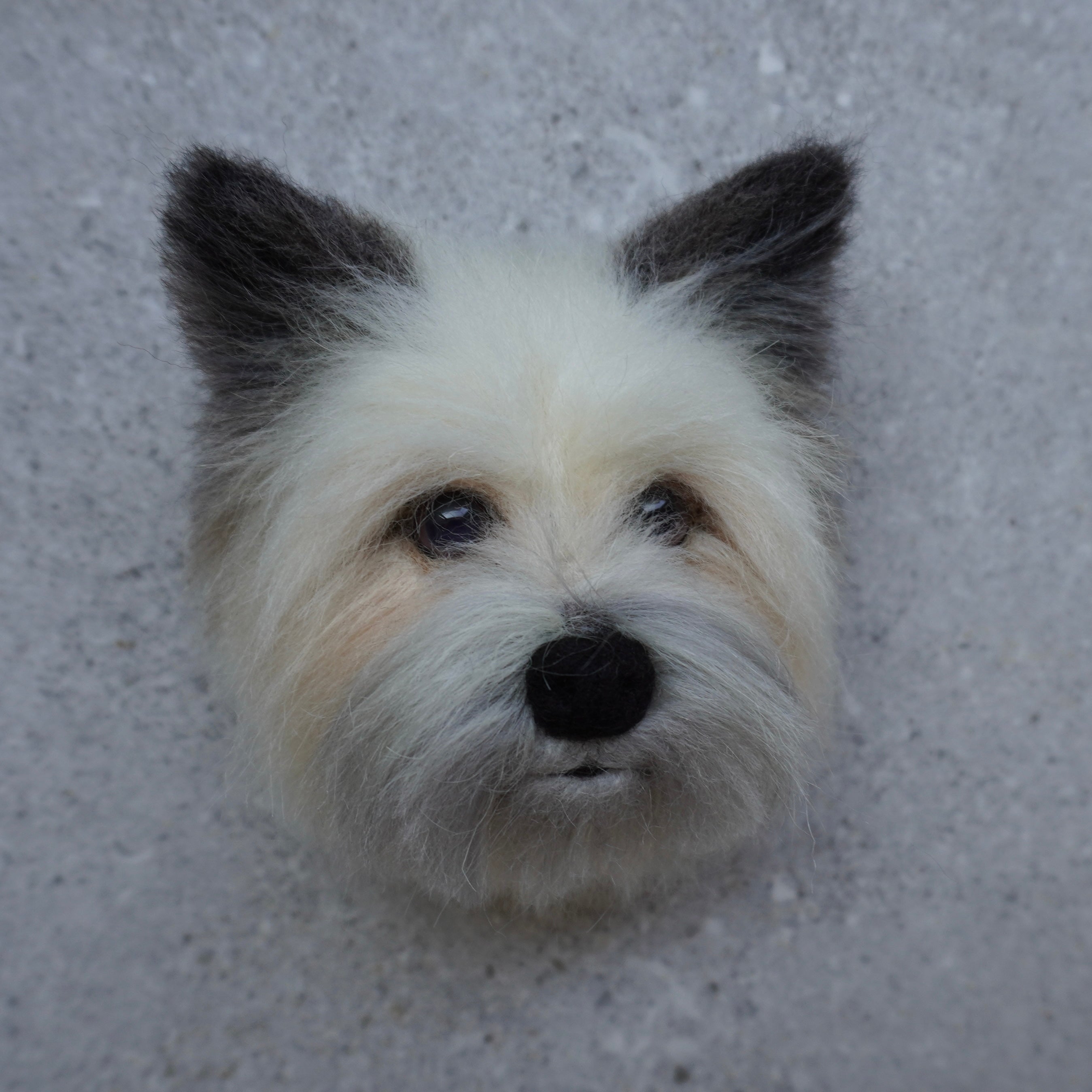 Custom Pet Decorative Keepsake | Handmade Personalized Pet Gift – Curepaw