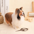 Custom Felt Pet Sculpture | Handmade Full-Body Pet Figurine