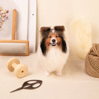 Custom Felt Pet Sculpture | Handmade Full-Body Pet Figurine